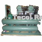 Multi-paralleled air cooled condensing unit with Bitzer screw compressor
